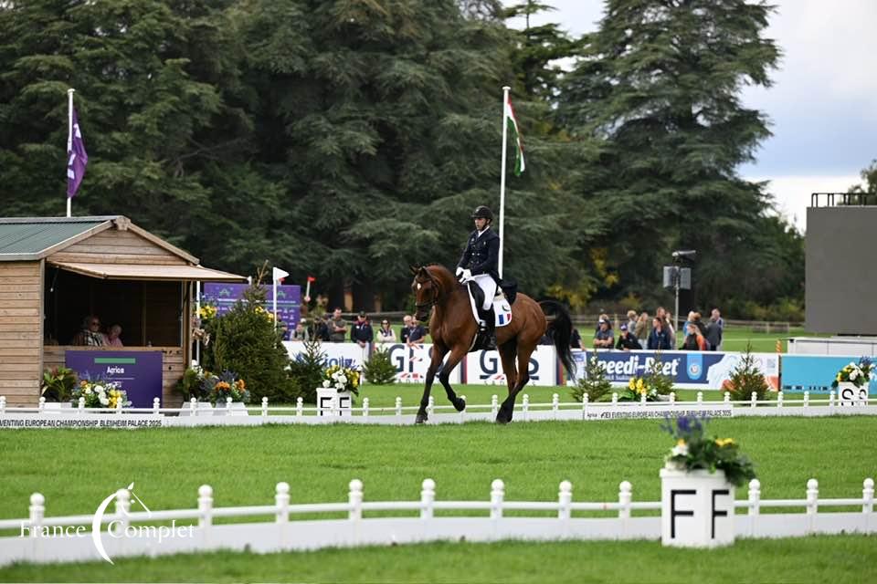 Championnats d’Europe Senior 2025 : La France 3ème après le dressage !