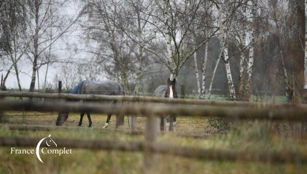 Aux portes de Rambouillet, Raphaël Cochet ouvre un nouveau chapitre !